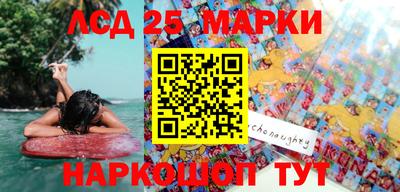 PSILOCYBIN Нальчик