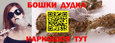PSILOCYBIN Нальчик