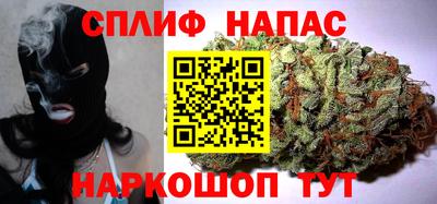 PSILOCYBIN Нальчик
