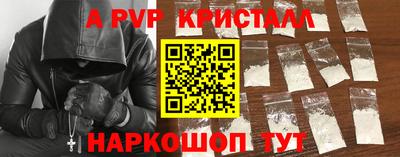 PSILOCYBIN Нальчик